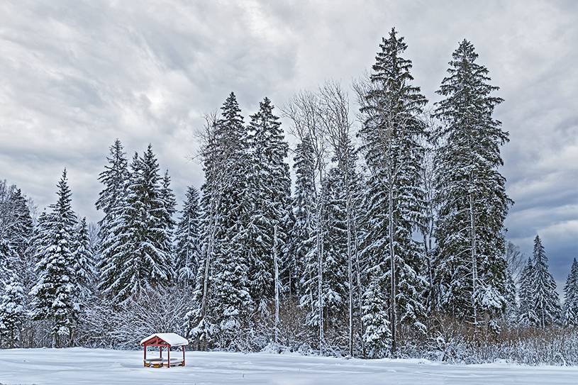 зима, Бирюков Вячеслав