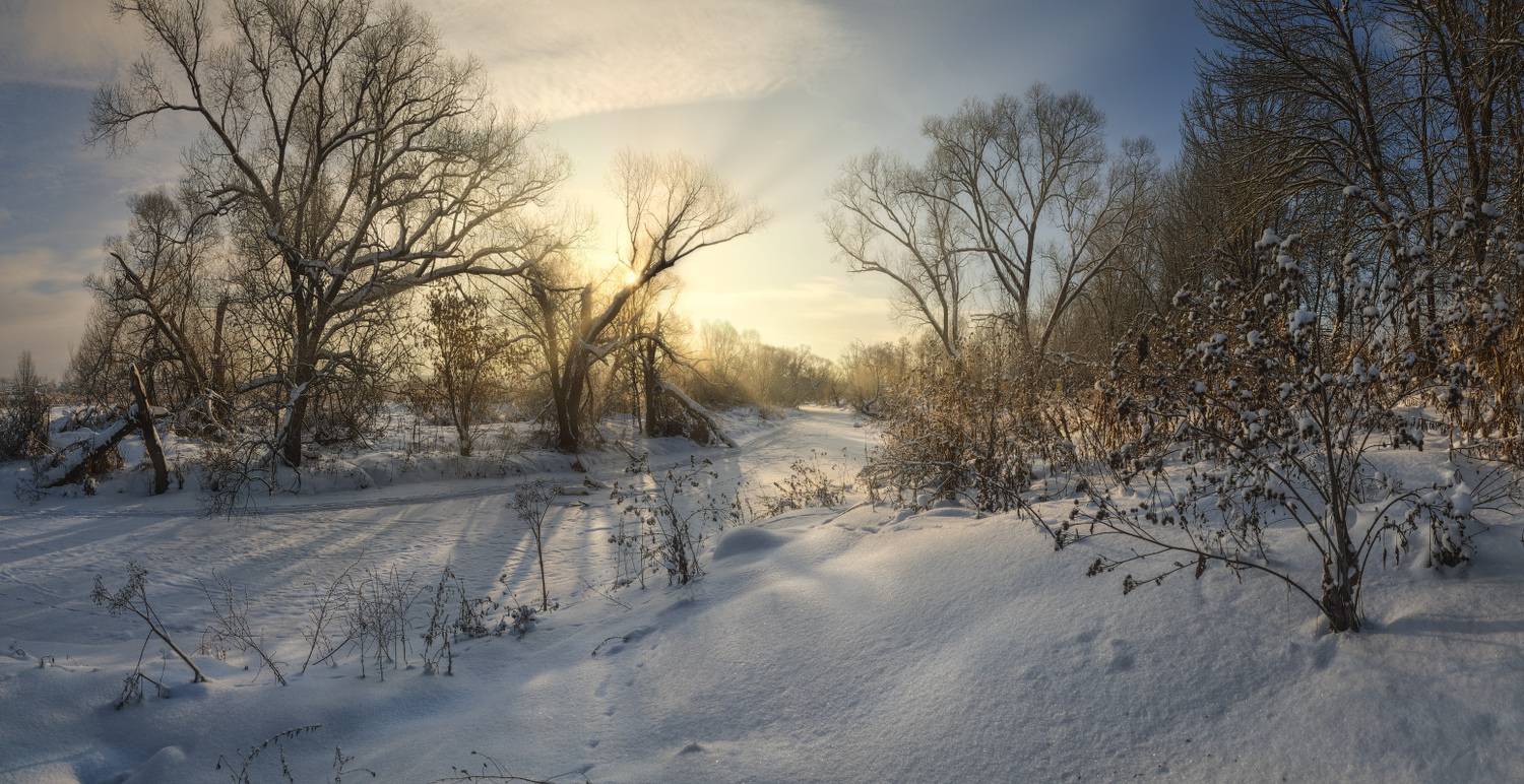 тула, тулица, Сергей Кочергин