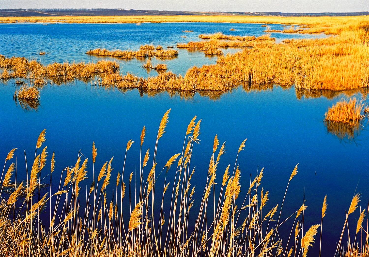 , Андрей Петросян