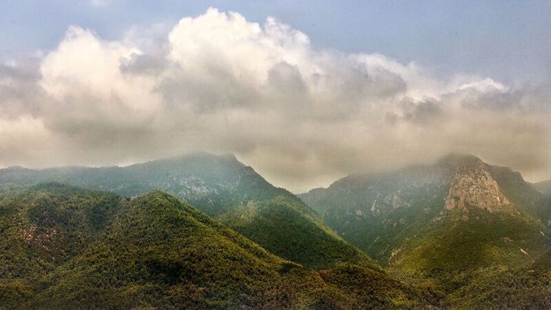 Туман над Аланьей фото превью