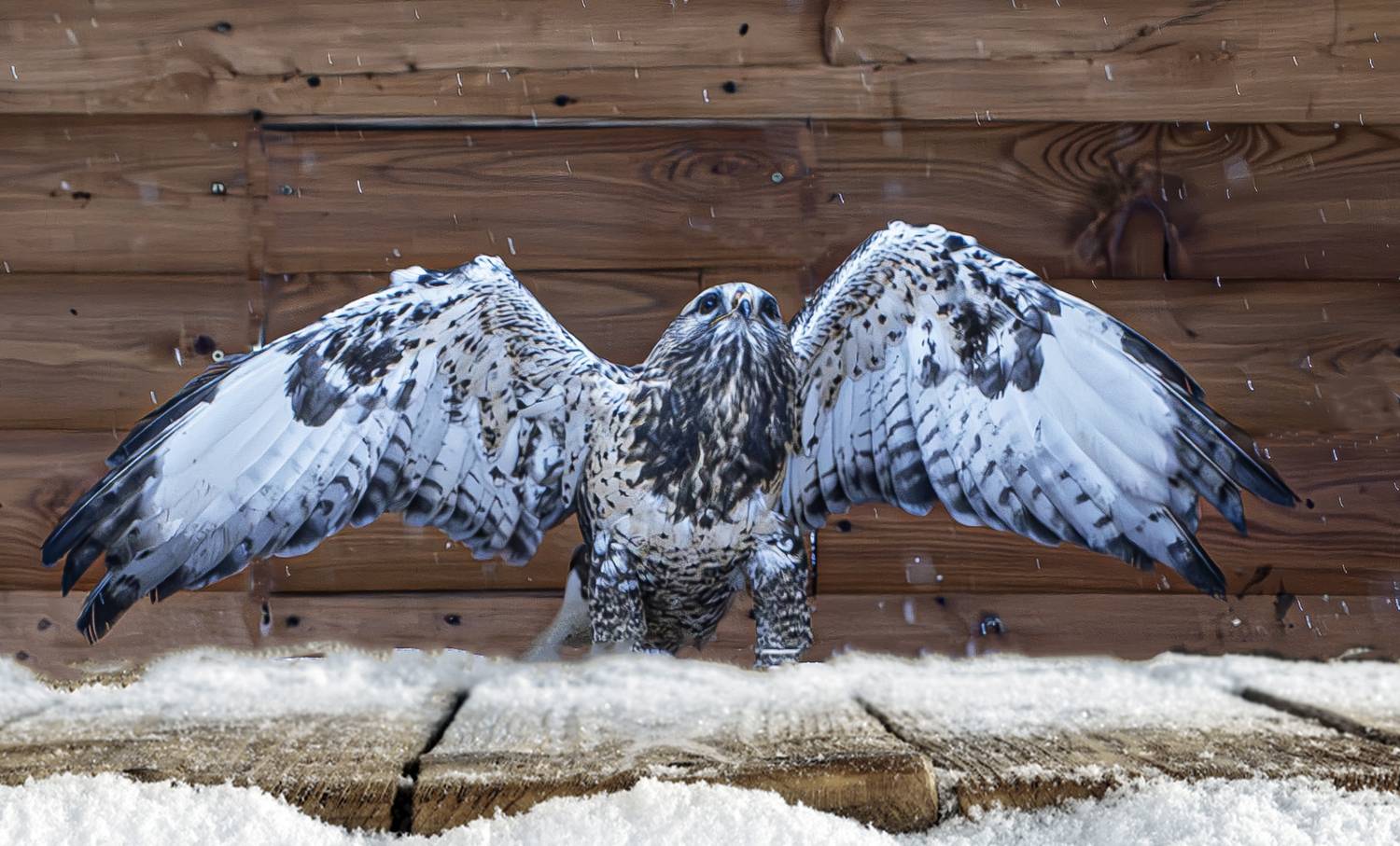 , Михаил Измайлов