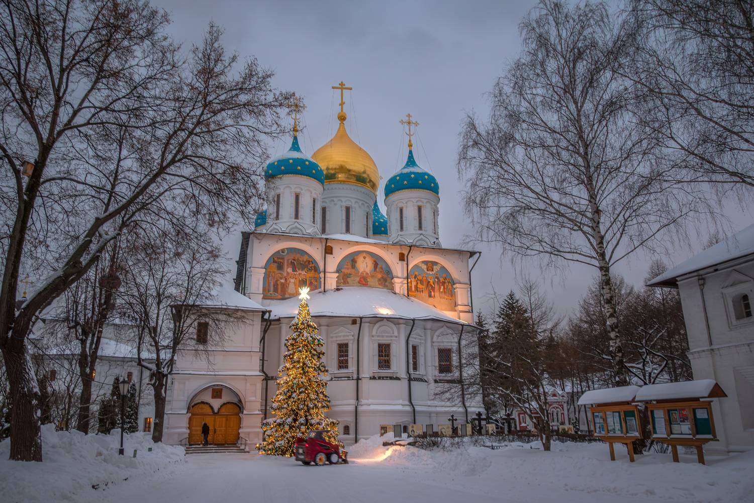 , Сережа Сережин