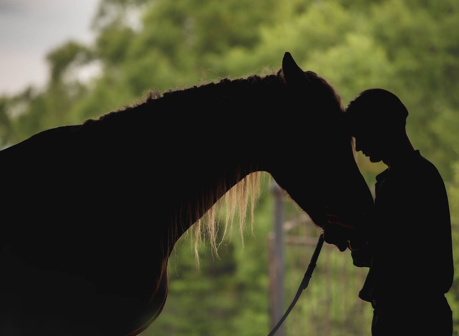 , Елена Самусенкова