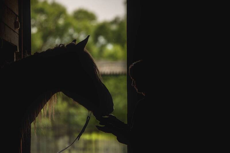 Портрет фото превью