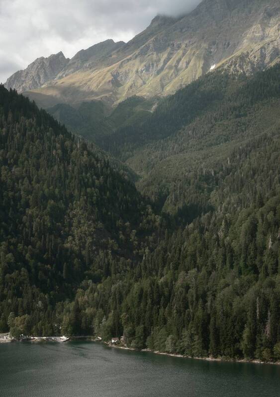 Рица фото превью