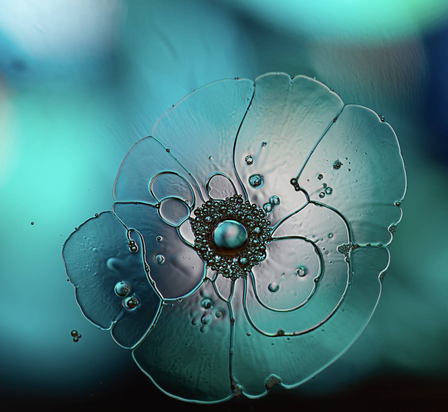 макро, масло, вода, цветы, Mariya Obidina