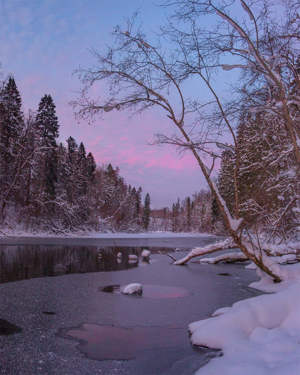 , Петр Косых