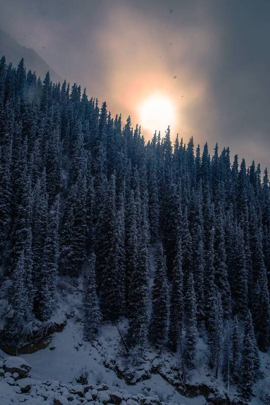 кыргызстан, ала-арча Сквозь мглу фото превью