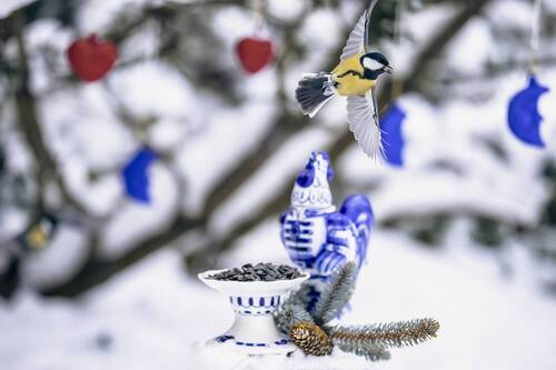 Зимние развлечения, часть 2)