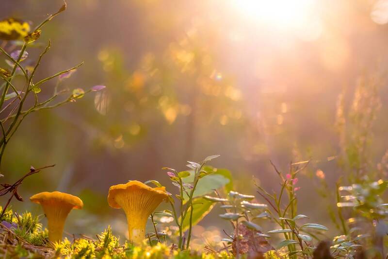 .... фото превью