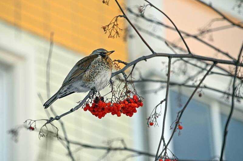 Похолодало фото превью