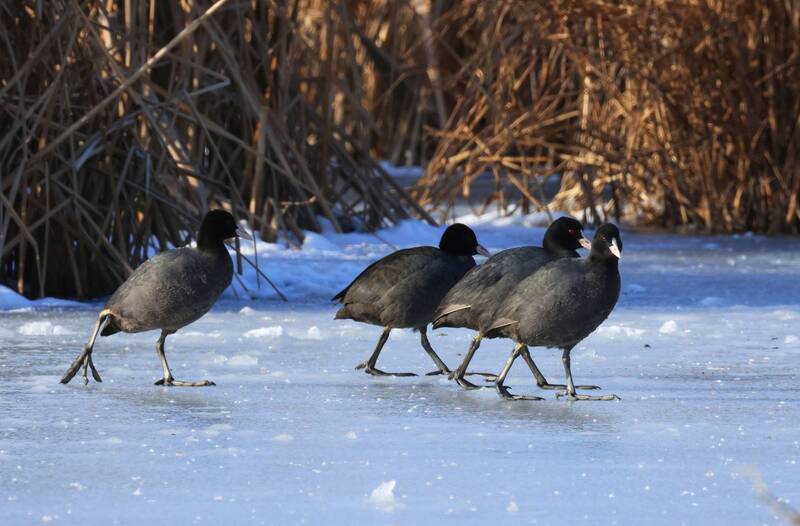 Мы идём туда.. фото превью