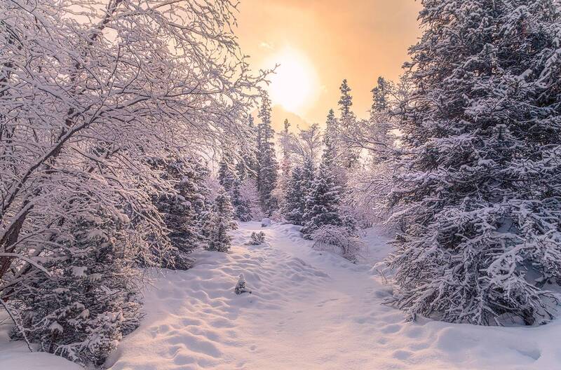 кыргызстан, ала-арча Морозные зарисовки фото превью