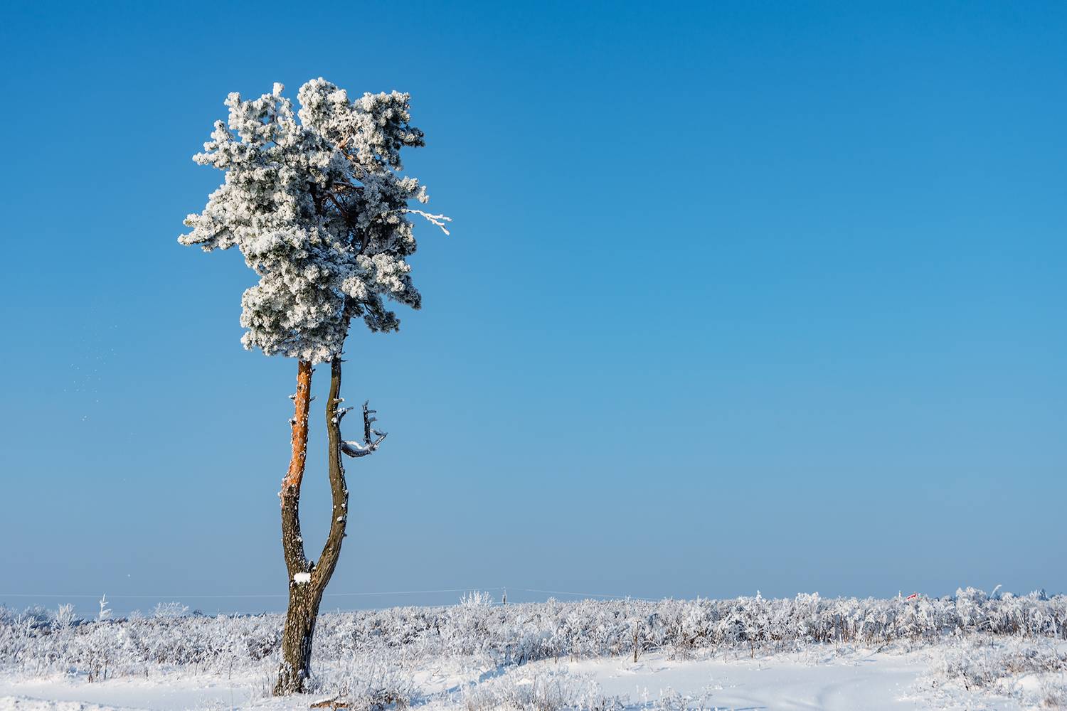 , Владимир Ноздрачев