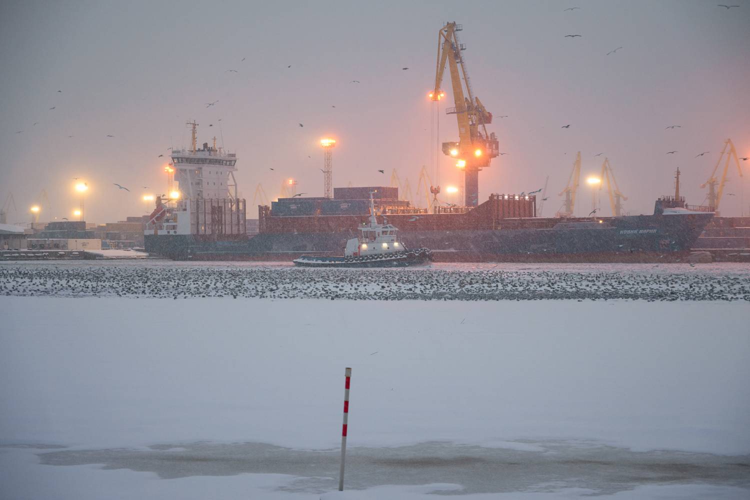 калининград, туман, зима, снег, порт, Popoff Dmitry