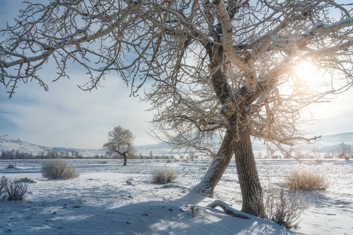 , Важенин Евгений