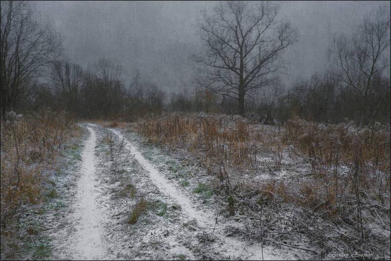 Эта дорога. Нет на ней путников... фото превью