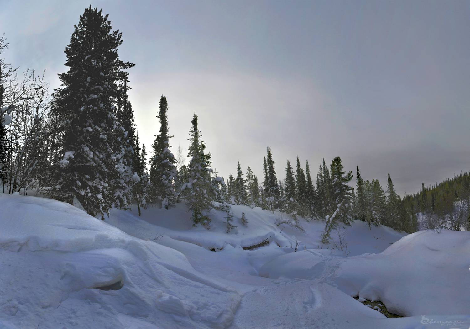 , Крат Светлана