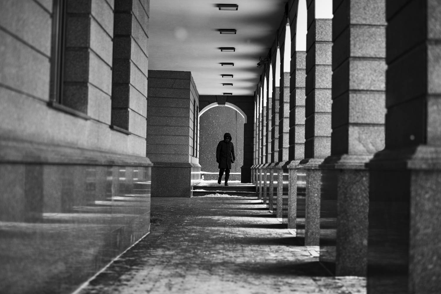 , Алексей Федотов