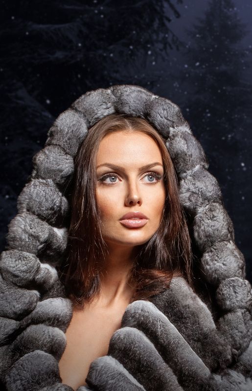 сон в зимнюю ночь фото превью