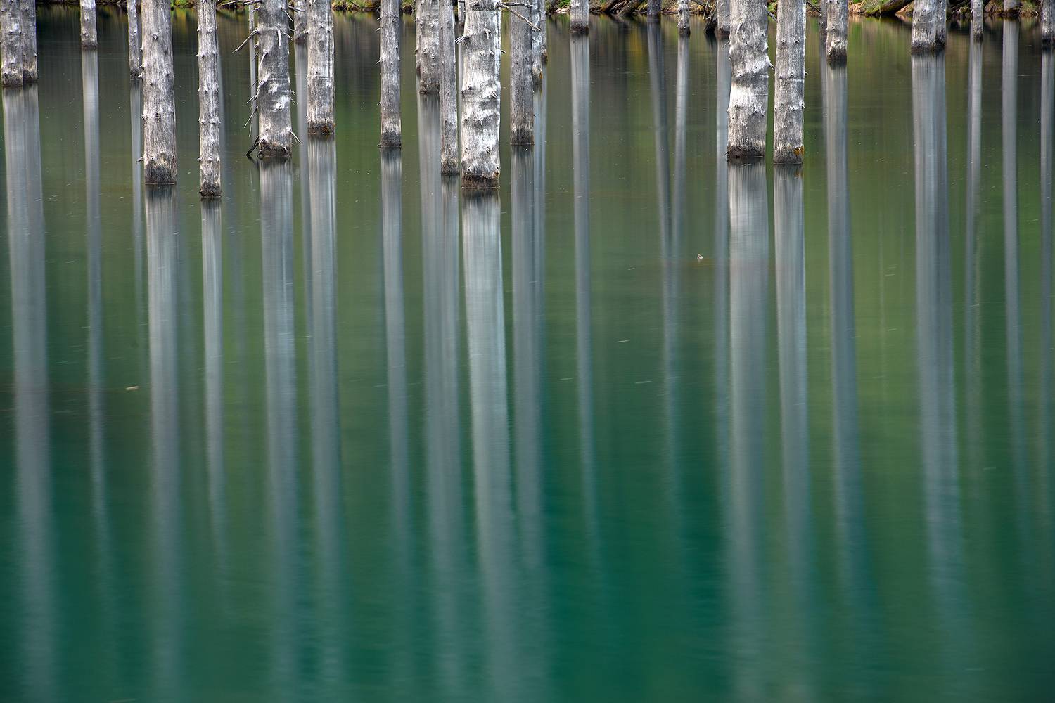 каинды, кольсай, тузколь, чарынский, чарын, чарынскиий_каньон, алтын_емель, алтынемель, Эдуард Кутыгин