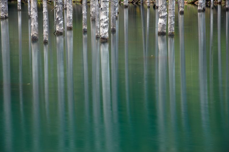 каинды, кольсай, тузколь, чарынский, чарын, чарынскиий_каньон, алтын_емель, алтынемель Фототур на Северный Тянь-Шань, Семиречье, Казахстан. фото превью