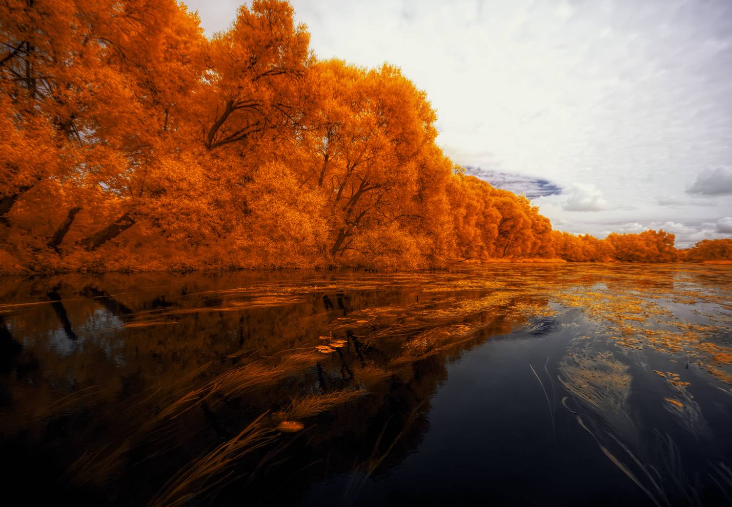 infrared, ик-фото, инфракрасное фото, инфракрасная фотография, пейзаж, лето,  Sixten (Сергей)