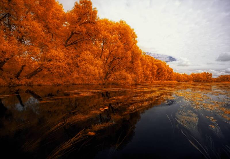 infrared, ик-фото, инфракрасное фото, инфракрасная фотография, пейзаж, лето Некуда спешить фото превью