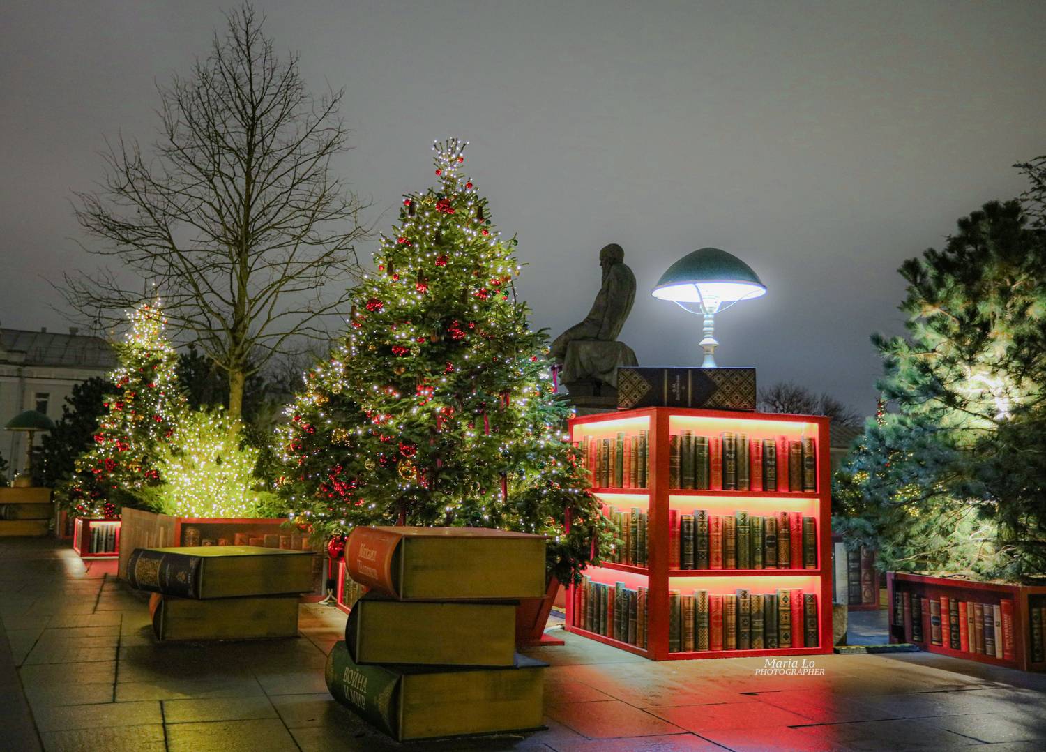 москва огнибольшогогорода зимняясказка сказкавгороде рождество проектзимавмоскве рождественскоенастроение снег рождественскиеогни новогодниеогни зимавгороде волшебнаябиблиотека лампанастольная лампа библиотекаленина библиотека книги ели книга ель, Maria Lo