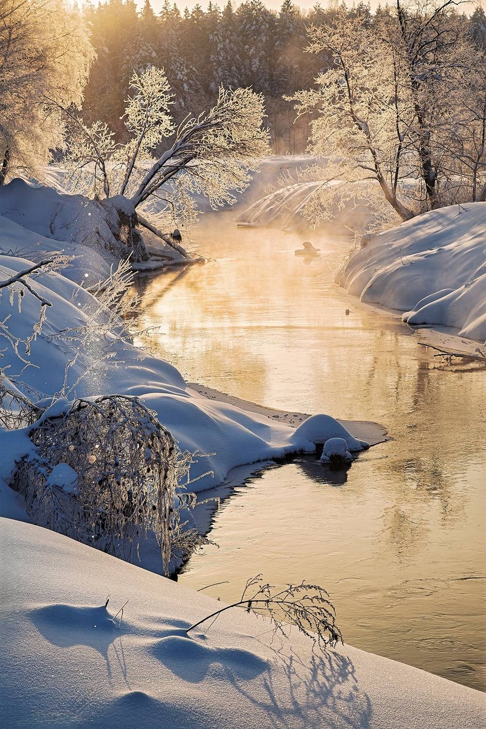 , Евгений Ерохин