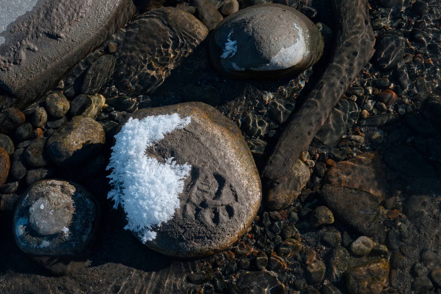 , Какоткин Роман