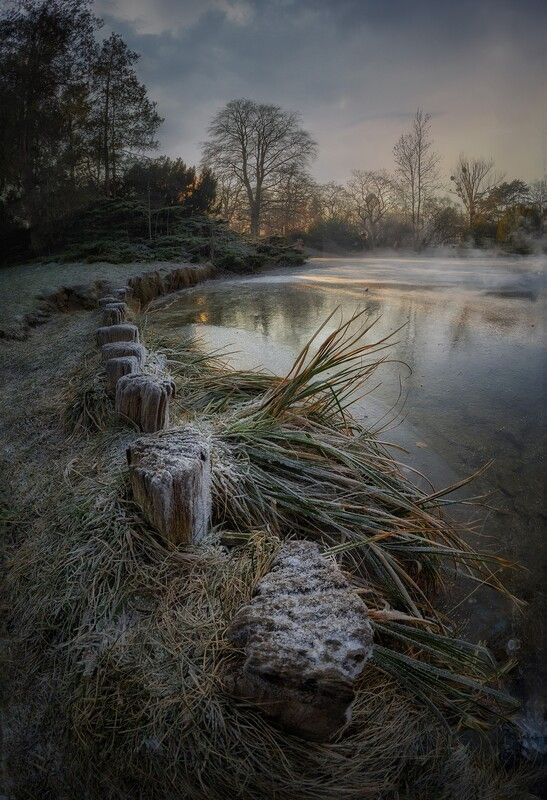 Парк Понятовского фото превью