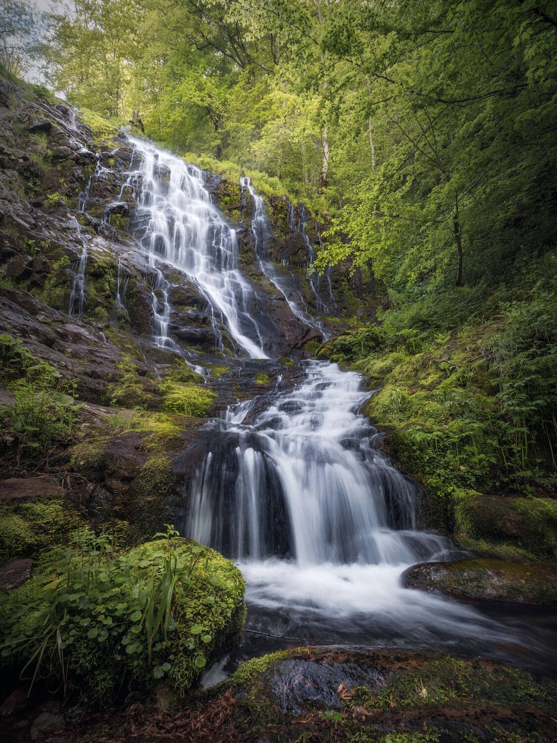 , Вукотић Никола