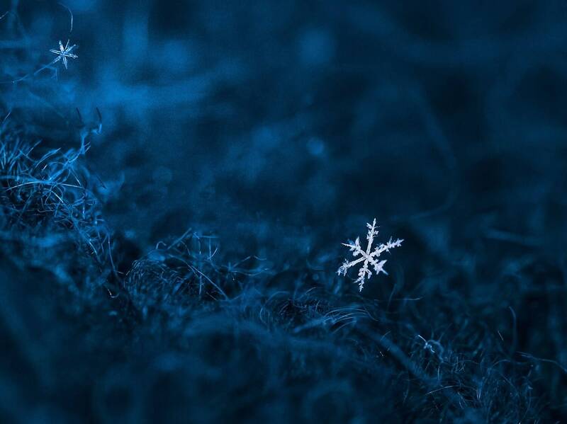 Снежинка фото превью