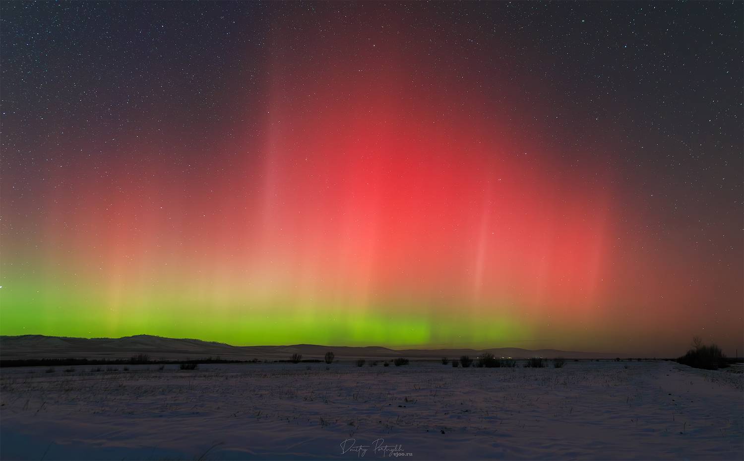 , Портных Дмитрий