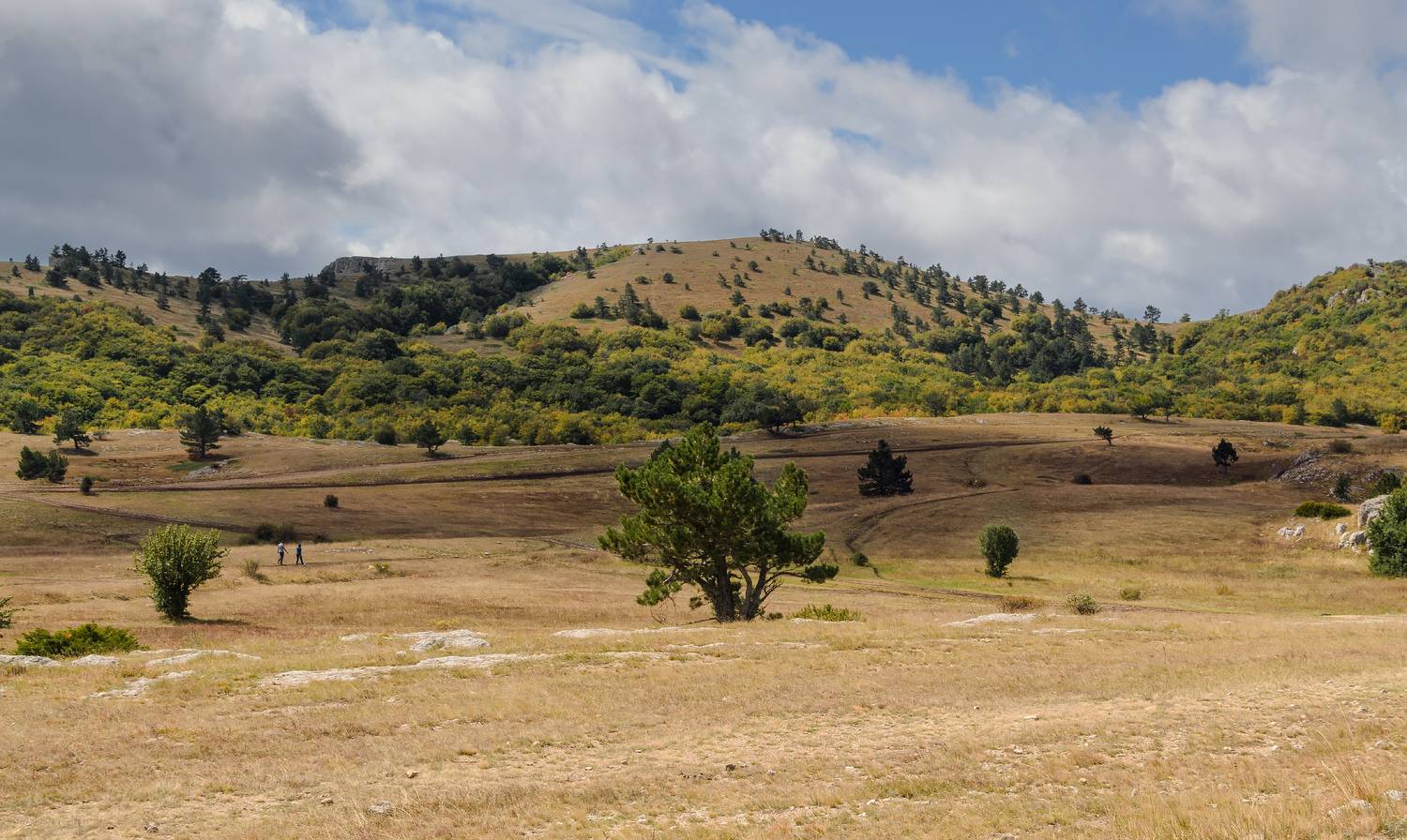 , Лысенко Сергей