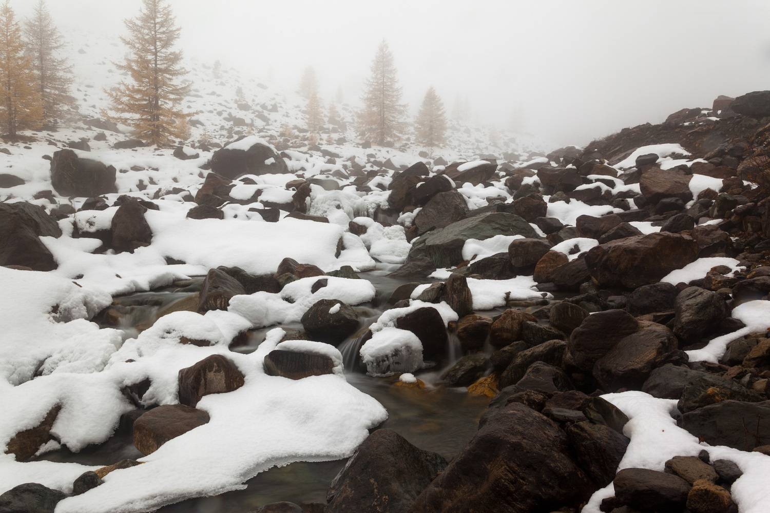 , Сергей Молоков