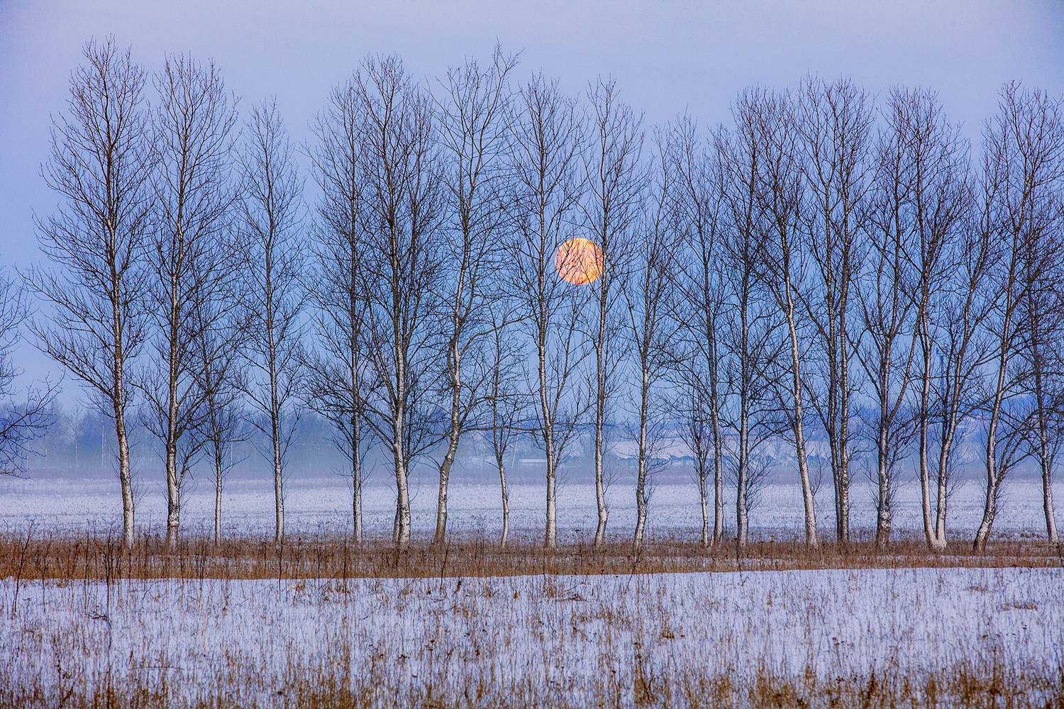 , Aleksandr Mihailov