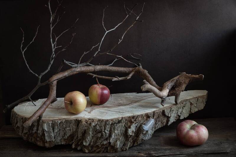 сад, яблоки, ветки, дерево Старый сад. фото превью