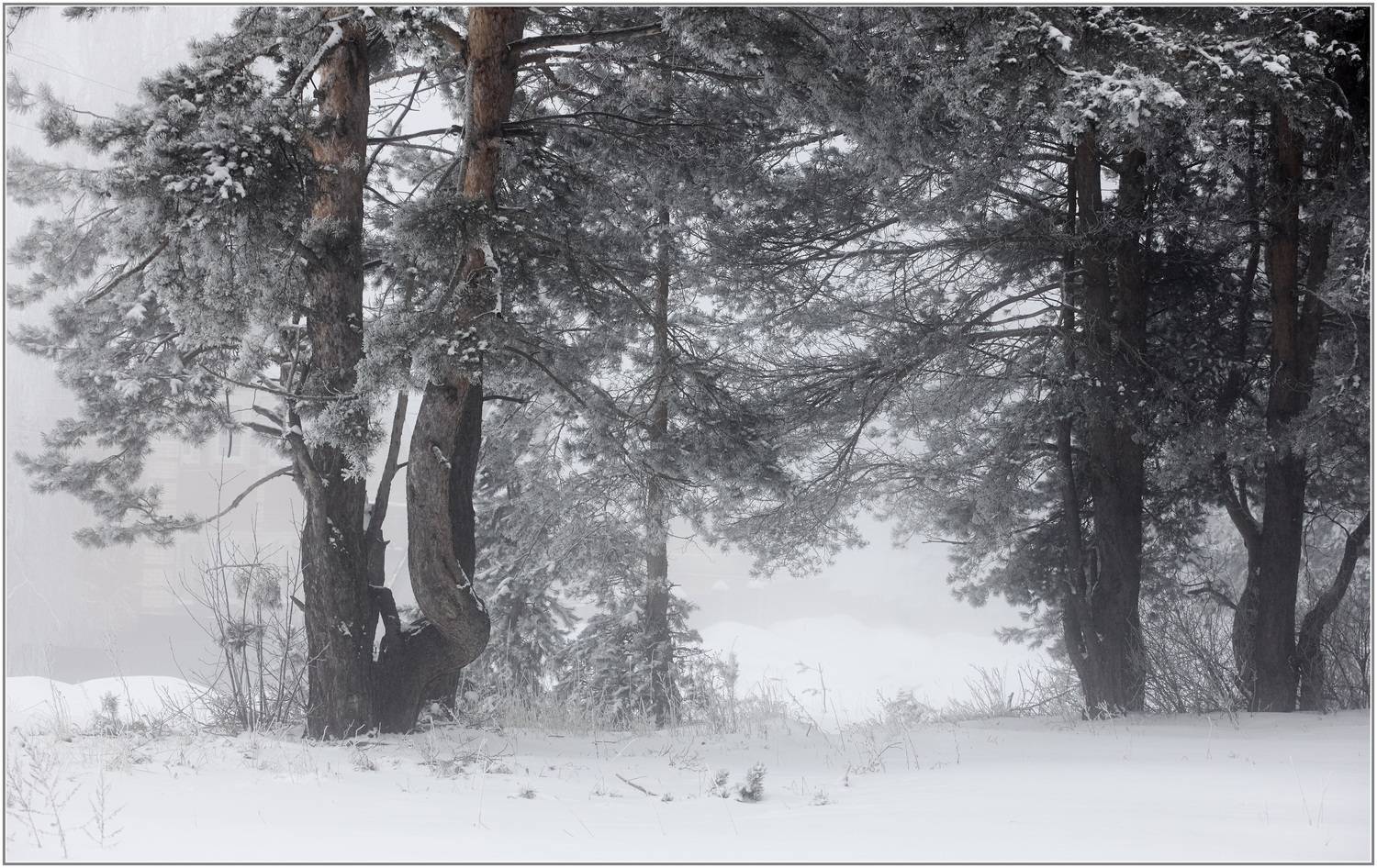 , Владимир Краснов