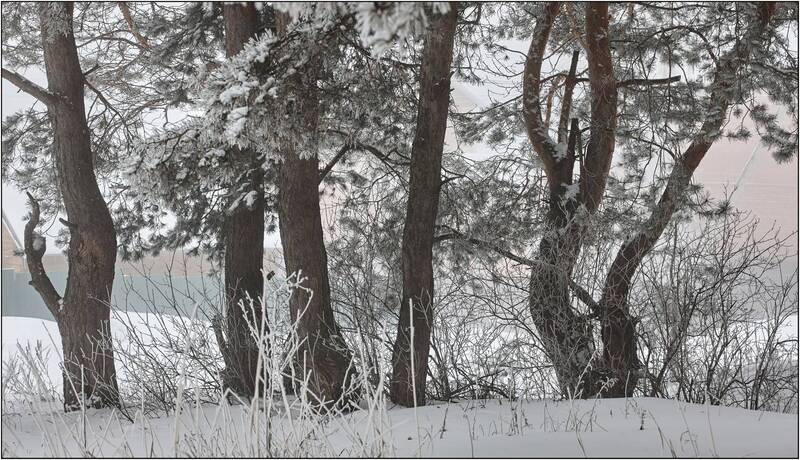 ***** фото превью