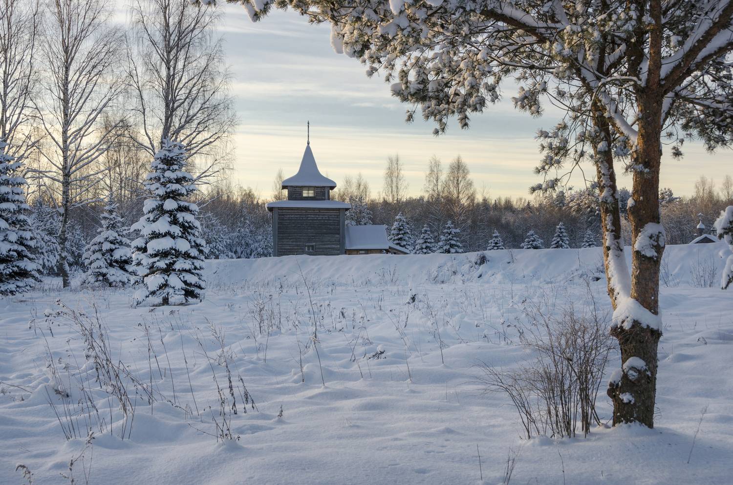 , Алексей Алешин
