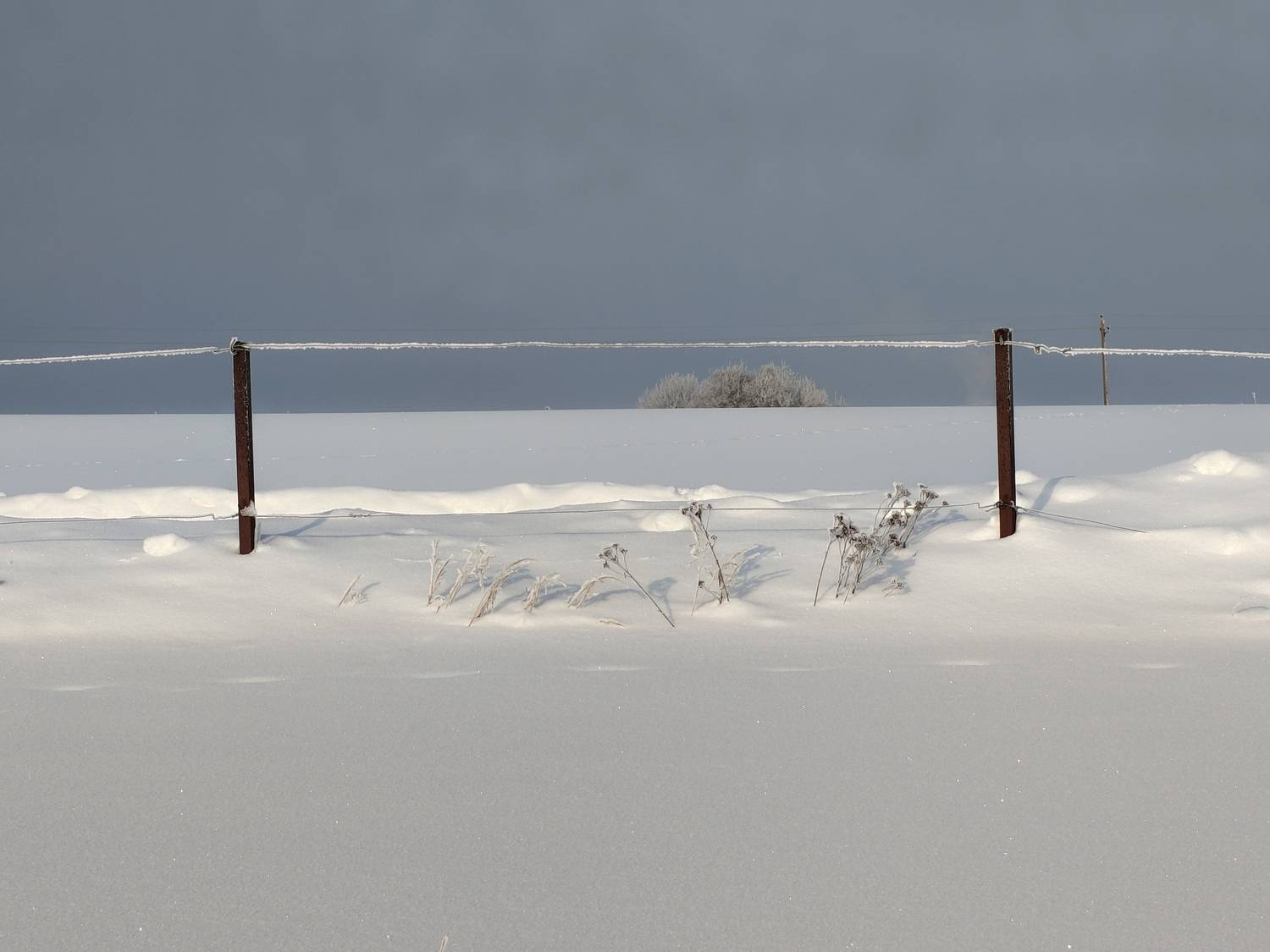 , Кондрашова Светлана