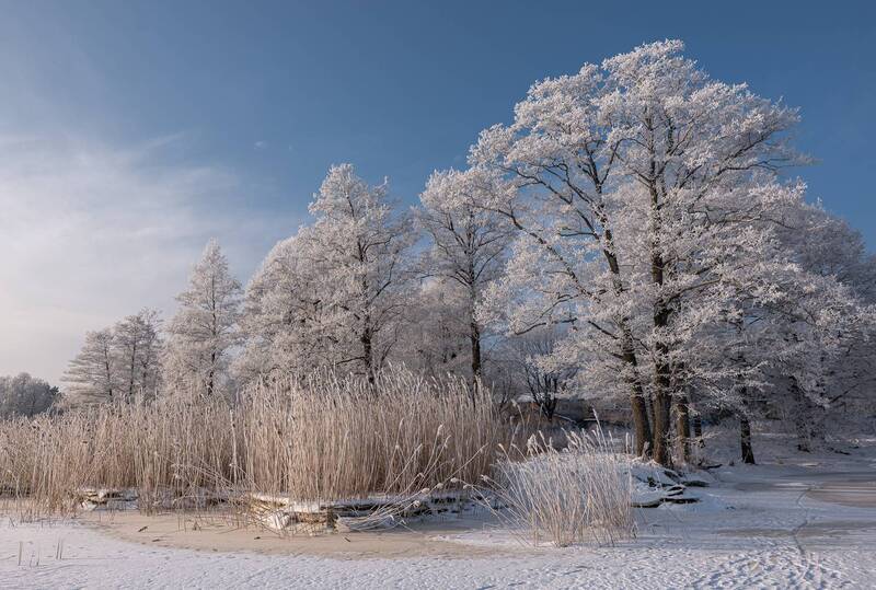 Январь. Мороз. продолжение фото превью