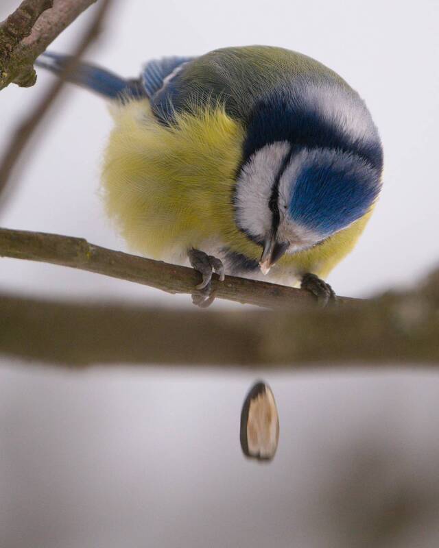 Потеря фото превью