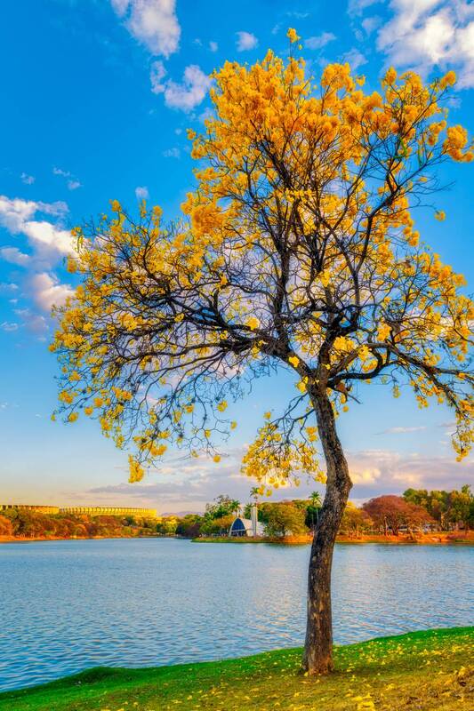 Pampulha фото превью