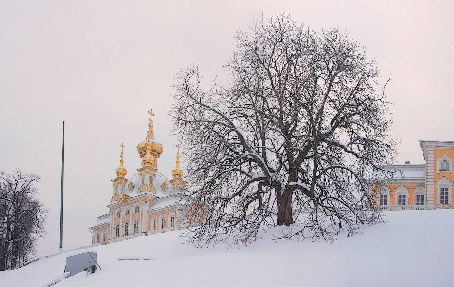 , Сергей Григорьев