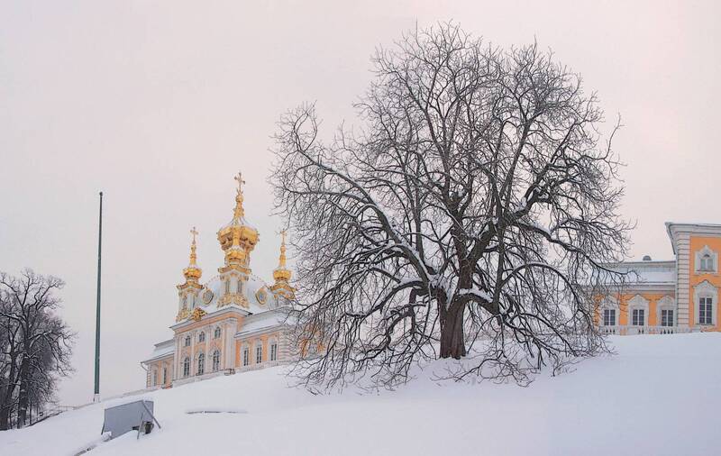 *** фото превью