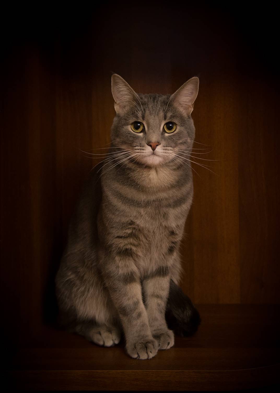 , Алексеев Сергей