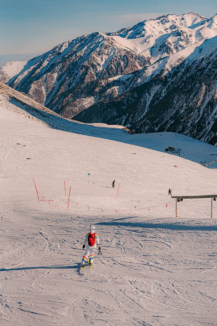 , Дарья Шевченко